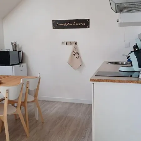 Agreable Duplex Gare * Le Mans