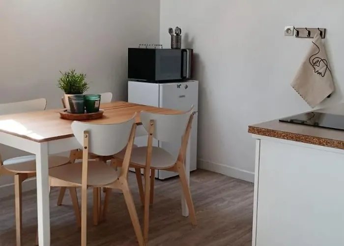 Agreable Duplex Gare *