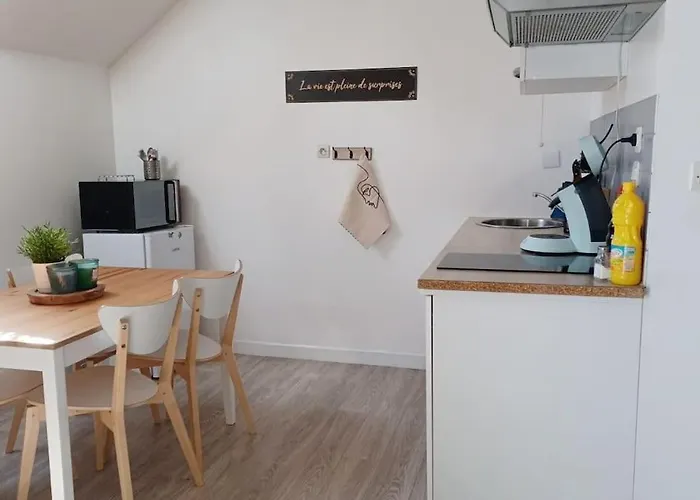 Agreable Duplex Gare * 勒芒