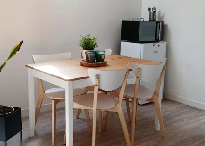 Agreable Duplex Gare *