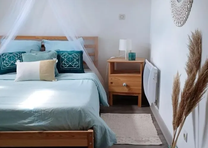 Agreable Duplex Gare * 勒芒