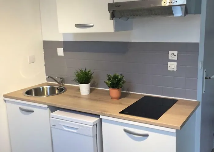 度假居 Agreable Duplex Gare 勒芒